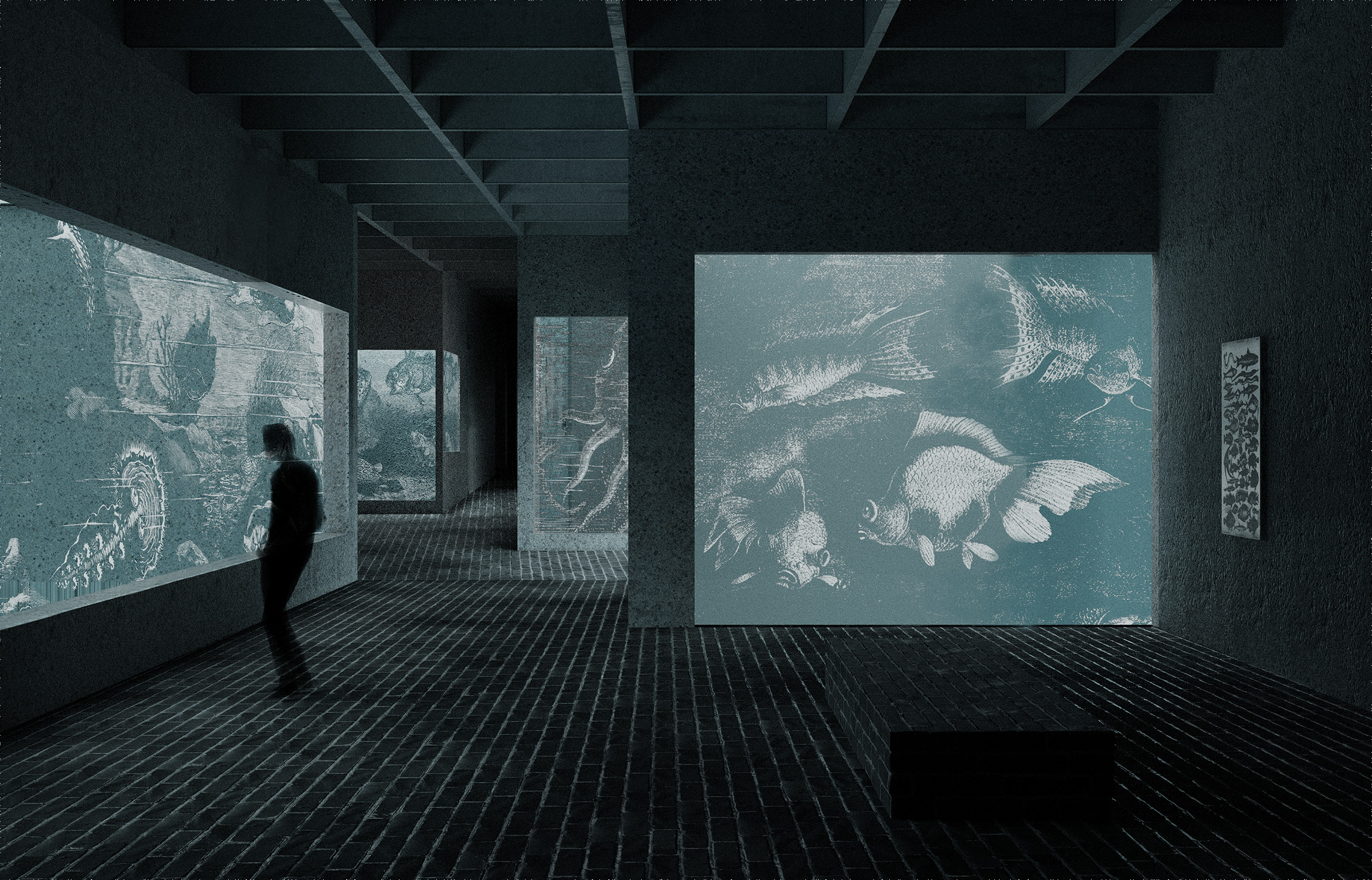 Zoo Bâle, visualisation sous-sol